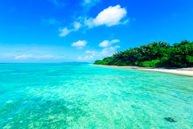 沖縄で10月に海水浴をするなら必ずチェックしておくべき注意点3つ 日々を旅する 都会の端っこでスローライフ